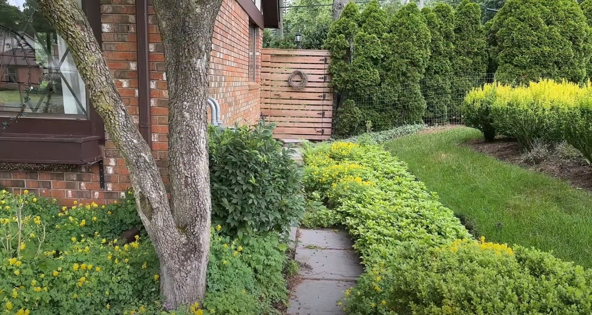 Expert Lawn Care and Garden Maintenance Services Lush residential backyard with professional lawn care, mature trees, privacy fencing, and well-maintained garden beds
