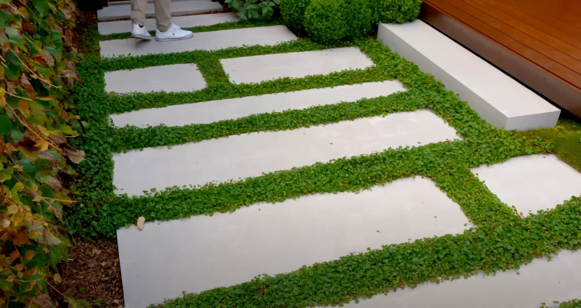 Local Landscaping Team Expertise and Professional Services Modern landscape design with clean lines and professional hardscaping elements