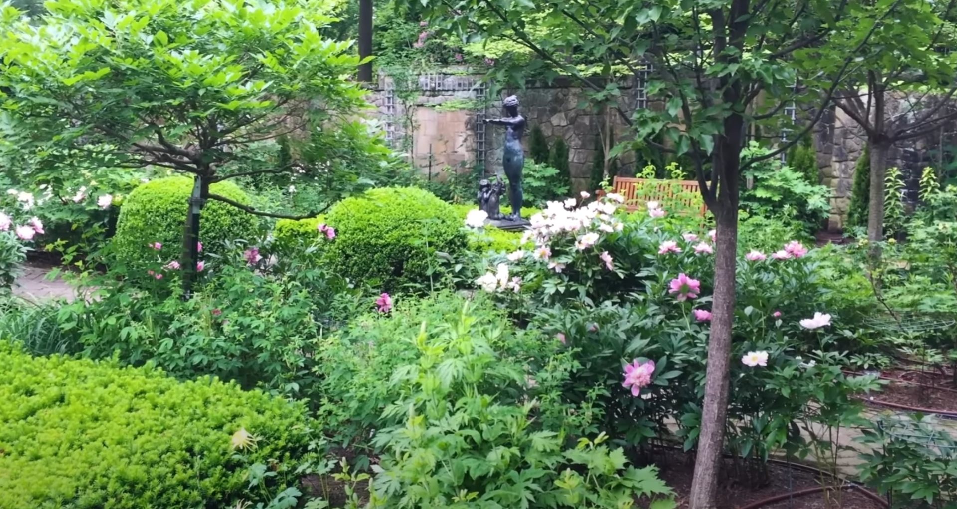 Professional Tree and Shrub Services with Garden Design Mature garden landscape with flowering plants, professional tree and shrub services, decorative stone features, and established landscaping